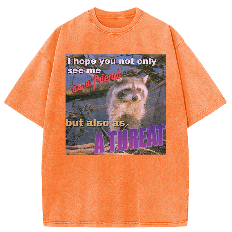 Modecanvas Viral Raccoon Meme Washed T-Shirt