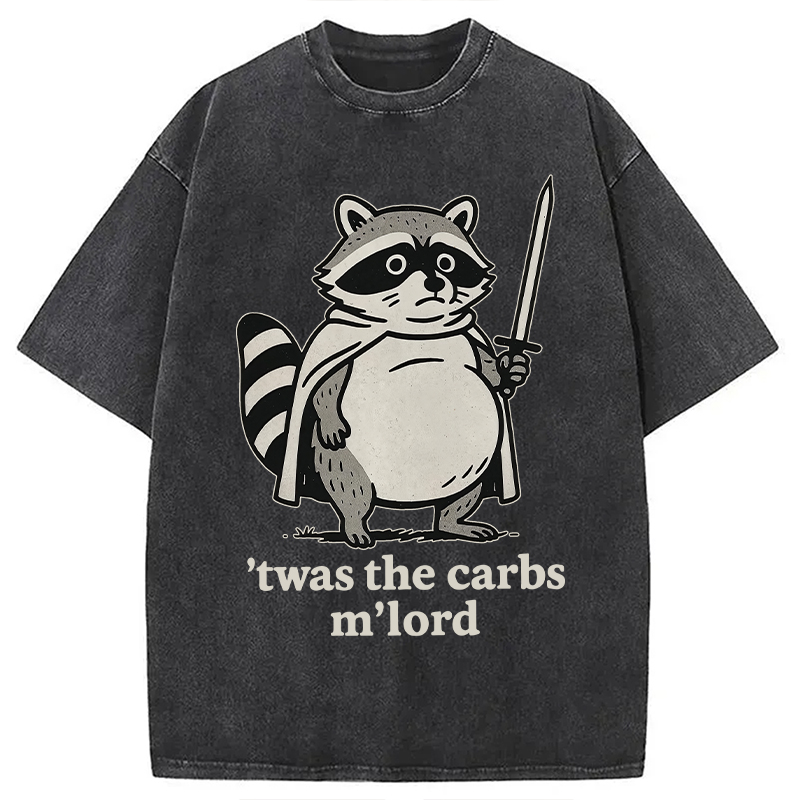 Modecanvas Fat Raccoon Sword Humor Washed T-Shirt