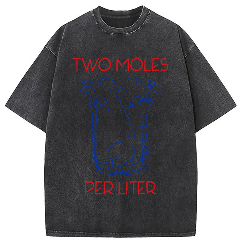 Modecanvas Two Moles Per Liter Washed T-Shirt