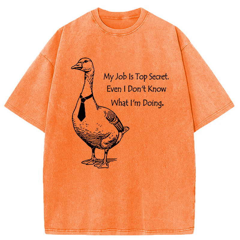 Modecanvas Serious Goose Funny Washed T-Shirt
