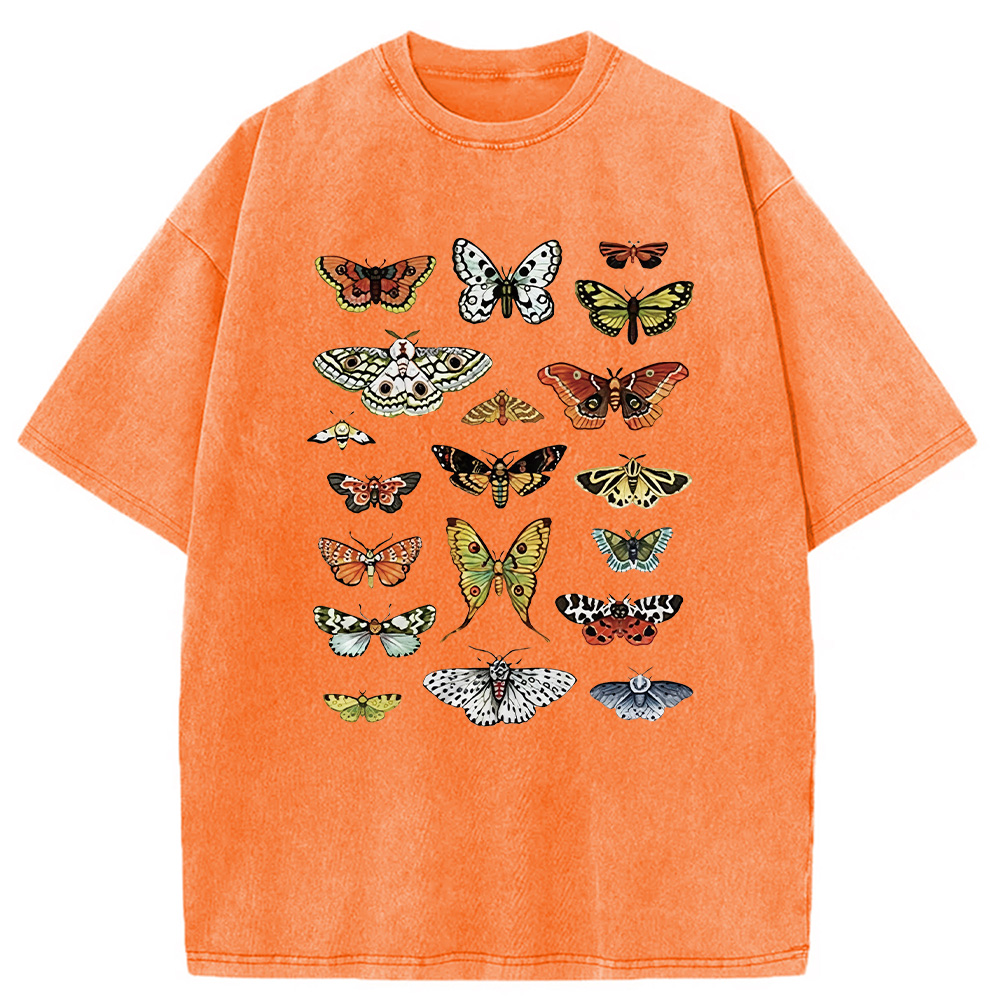 Modecanvas Butterfly History Washed T-Shirt