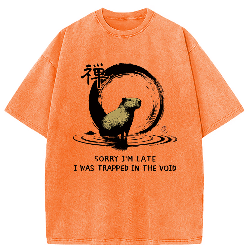 Modecanvas Zen Capybara Was Trapped In The Void Washed T-Shirt