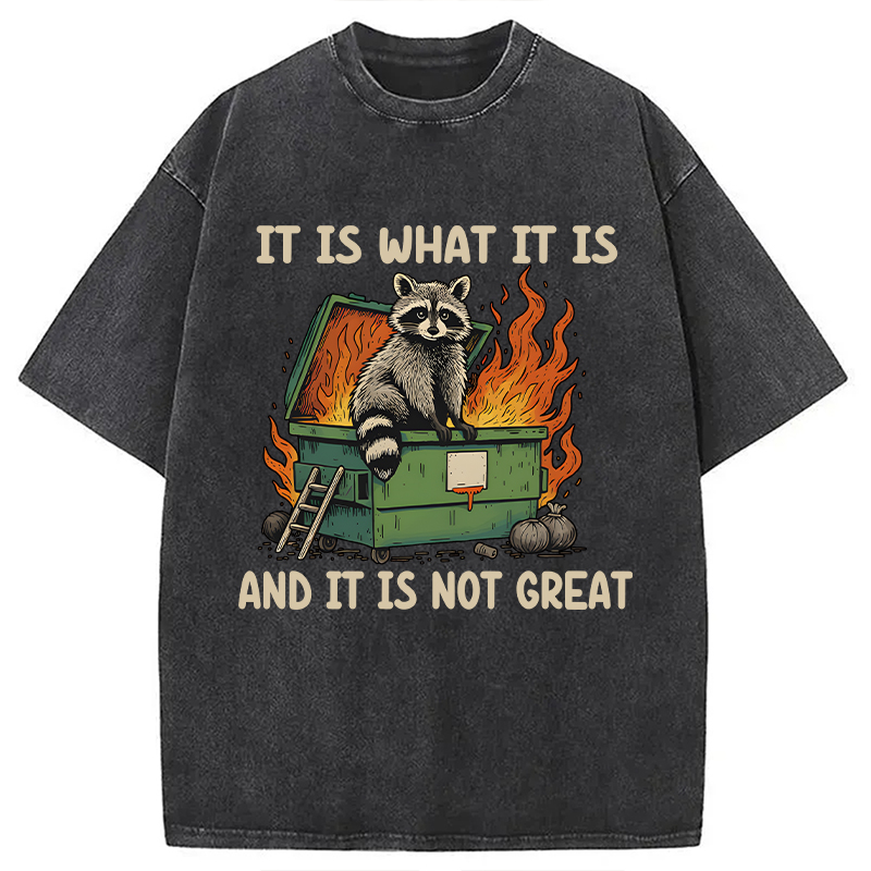 Modecanvas It Is What It Is Dumpster Fire Funny Raccoon Meme Washed T-Shirt
