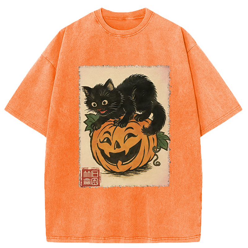Modecanvas Black Cat And Pumpkin Washed T-Shirt