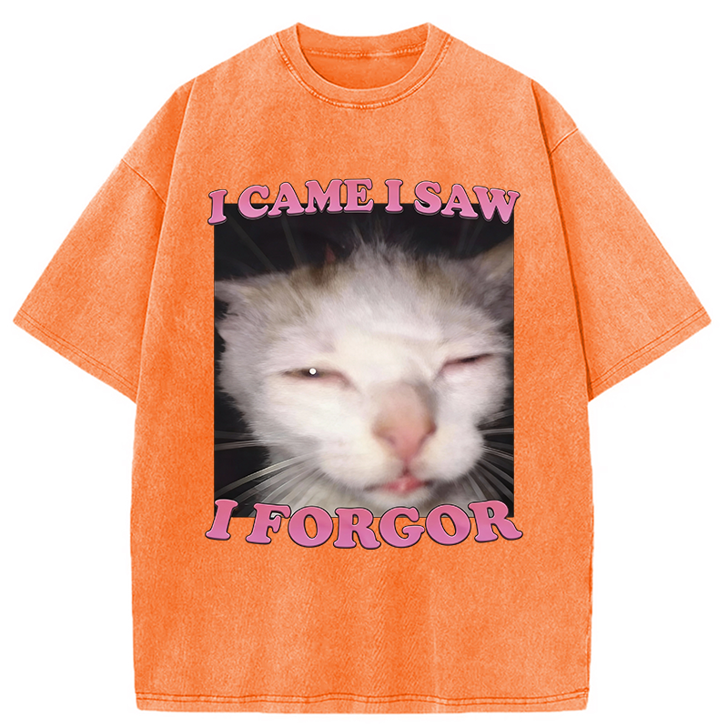 Modecanvas I Forgor Funny Cat Meme Washed T-Shirt-modecanvas