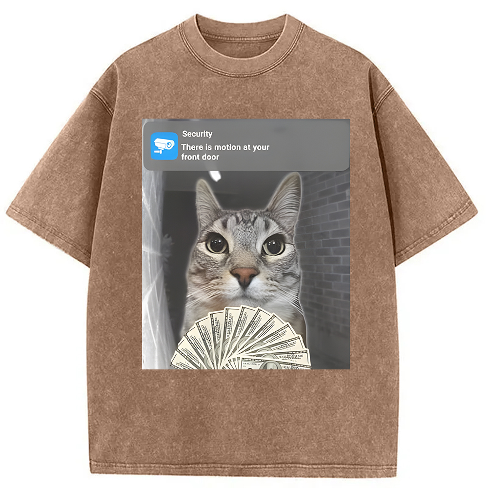 Modecanvas Ring Cat Meme Washed T-Shirt