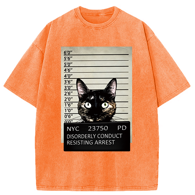 Modecanvas Arrested Black Cat Washed T-Shirt
