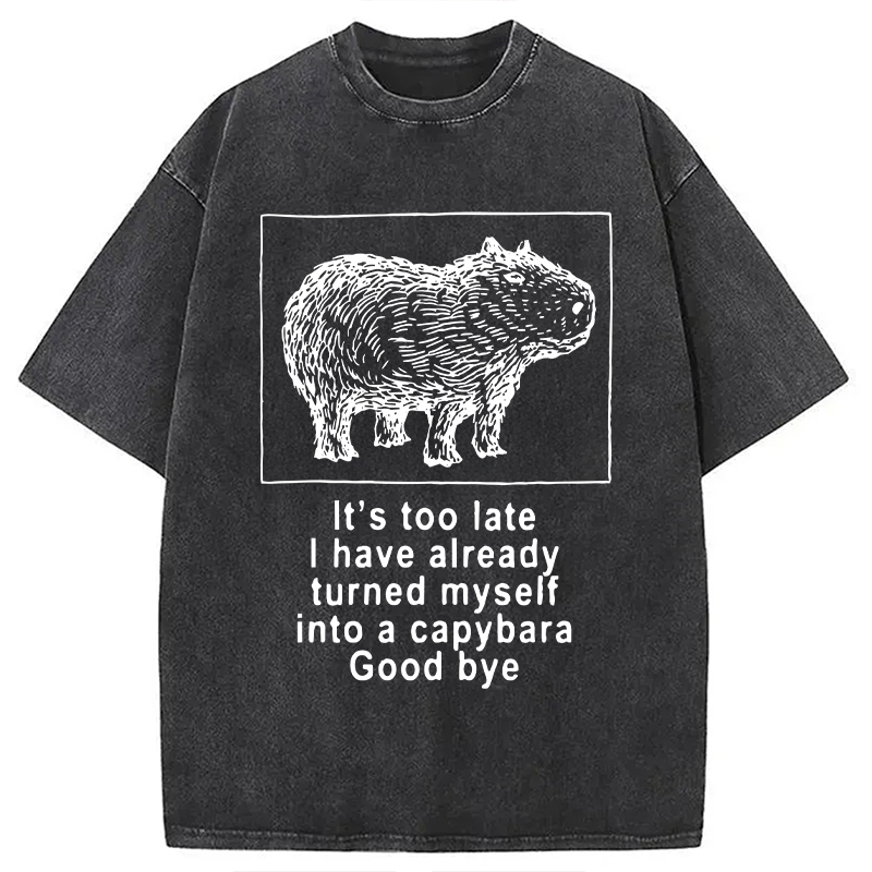 Modecanvas I Have Turned Myself Into A Capybara Washed T-Shirt-modecanvas