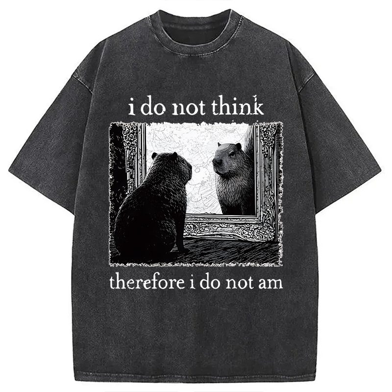 Modecanvas Capybara Paradox Washed T-Shirt