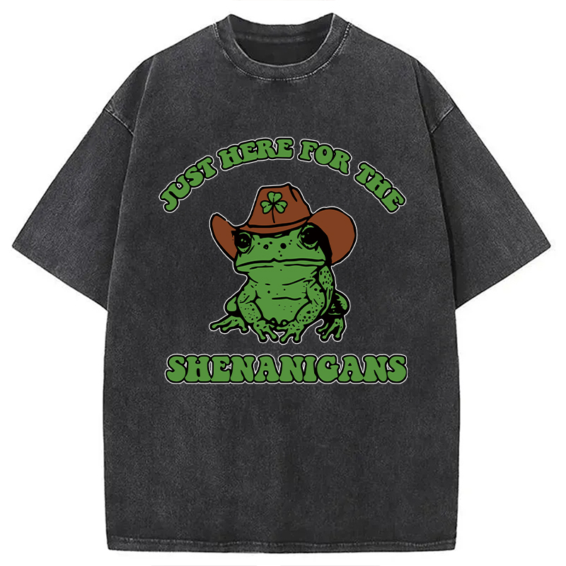 Modecanvas Here for the Shenanigans Washed T-Shirt