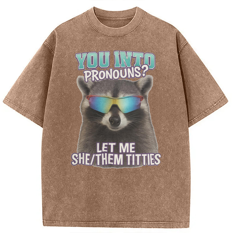Modecanvas You Into Pronouns? Let Me She/Them Titt*es Raccoon DTG Printing Washed T-Shirt