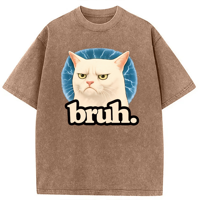 Modecanvas Bruh Cat Meme DTG Printing Washed T-Shirt