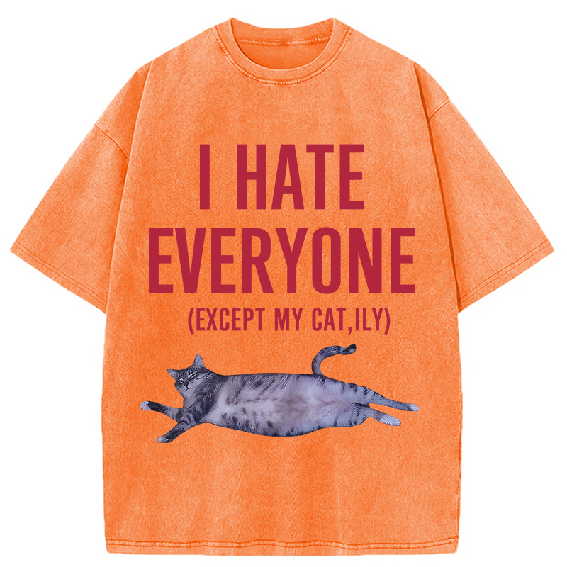 Modecanvas I Hate Everyone Cat Washed T-Shirt