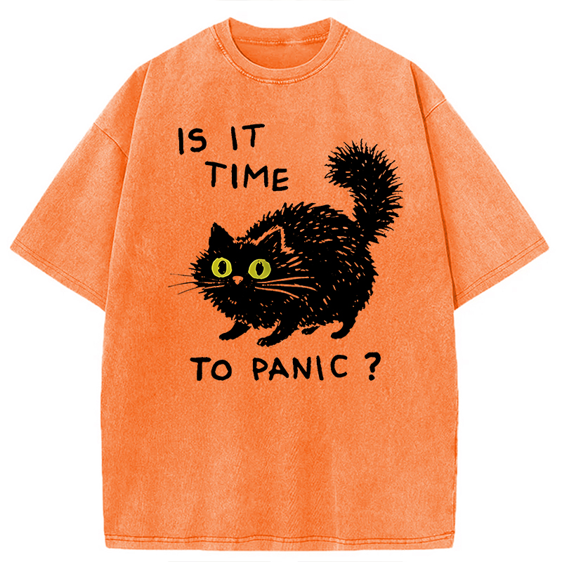 Modecanvas Is It Time to Panic Cat DTG Printing Washed T-Shirt