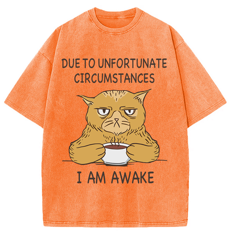 Modecanvas I Am Awake Cat Meme DTG Printing Washed T-Shirt