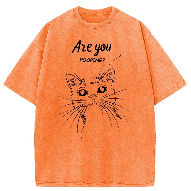 Modecanvas Black Cat Are You Pooping DTG Printing Washed T-Shirt