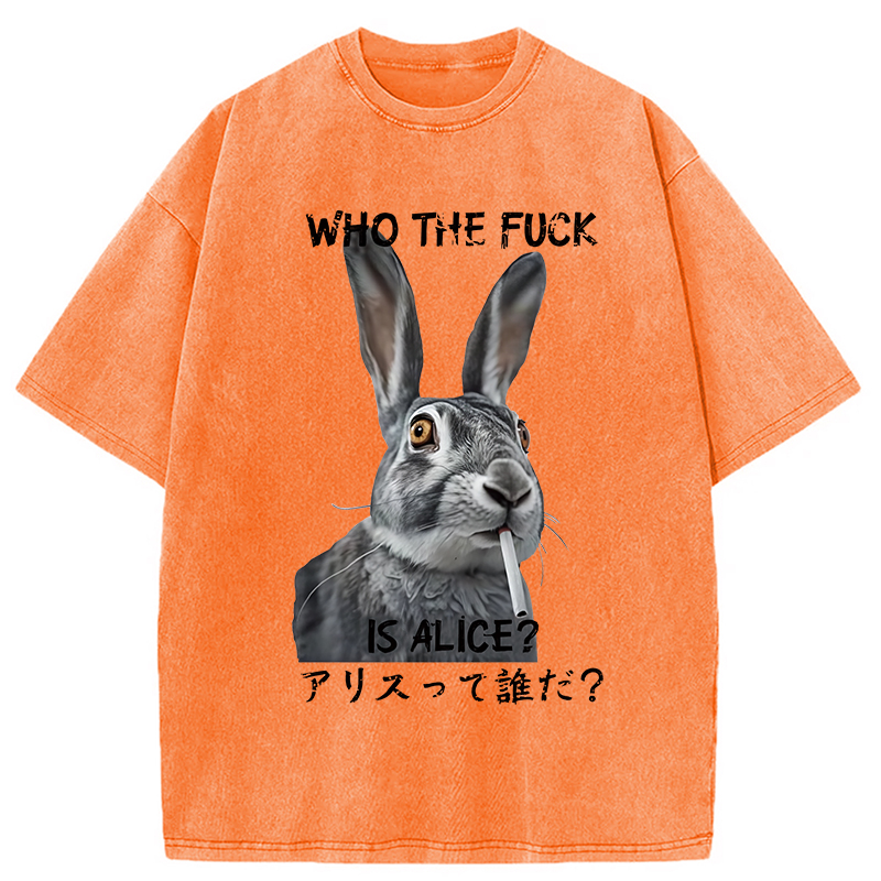 Modecanvas Who The Fvck Is Alice Funny Rabbit Smoking Washed T-Shirt