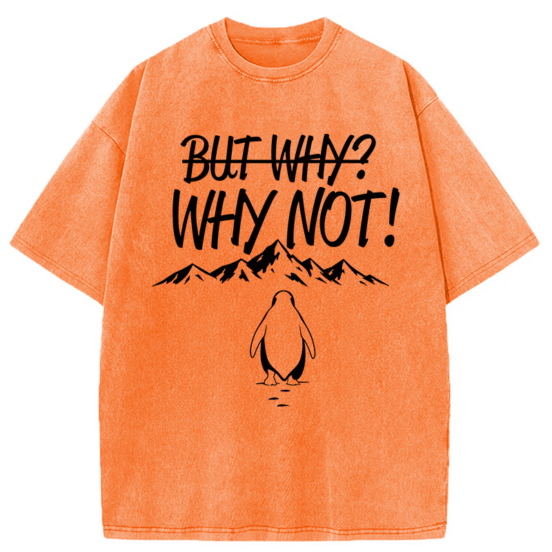 Modecanvas But Why/Why Not Penguin Meme DTG Printing Washed T-Shirt