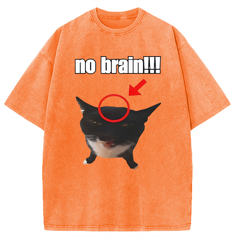 Modecanvas No Brain Cat DTG Printing Washed T-Shirt