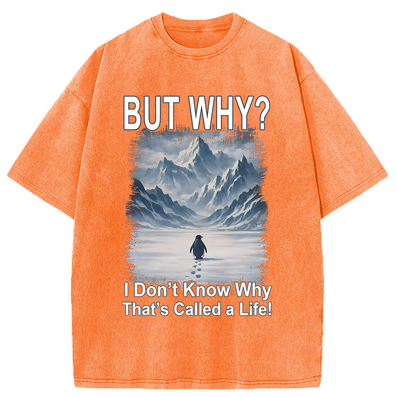 Modecanvas But Why Mountain Nihilist Penguin DTG Printing Washed T-Shirt-modecanvas