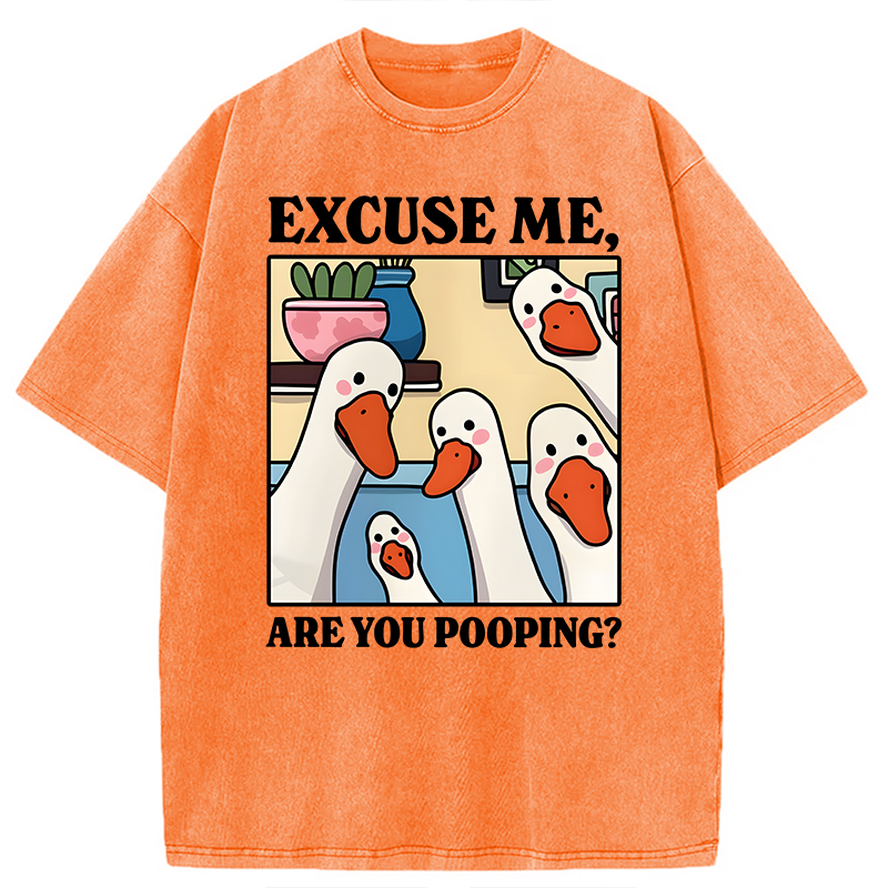 Modecanvas Are You Pooping Goose Meme DTG Printing Washed T-Shirt-modecanvas