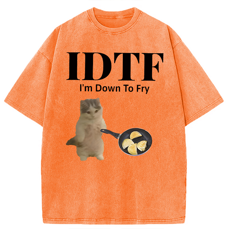 Modecanvas IDTF Pierogi DTG Printing Washed T-Shirt-modecanvas