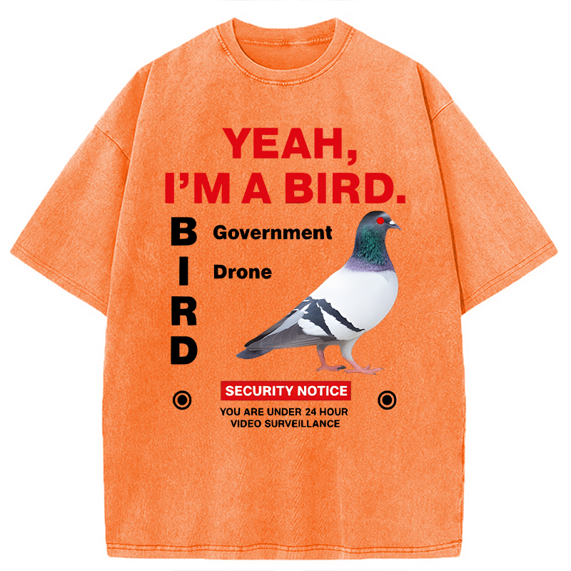 Modecanvas Government Funny Pigeon Puns DTG Printing Washed T-Shirt-modecanvas