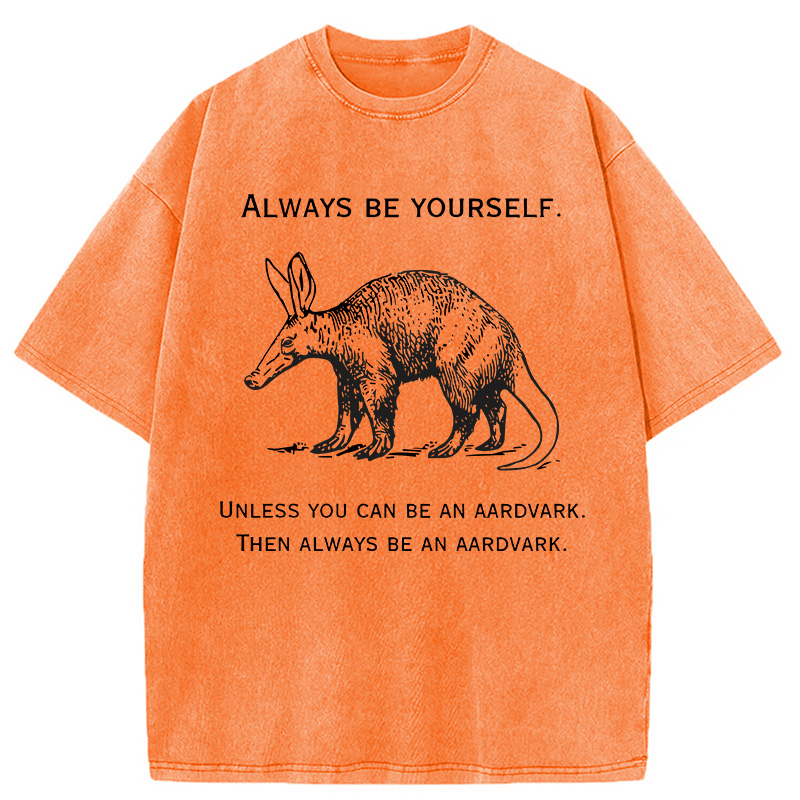 Modecanvas Always Be Yourself Meme DTG Printing Washed T-Shirt-modecanvas