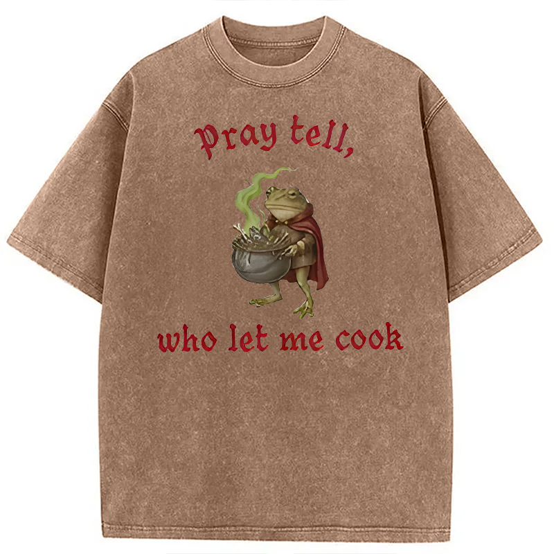 Modecanvas Pray Tell Funny Frog Meme DTG Printing Washed T-Shirt-modecanvas