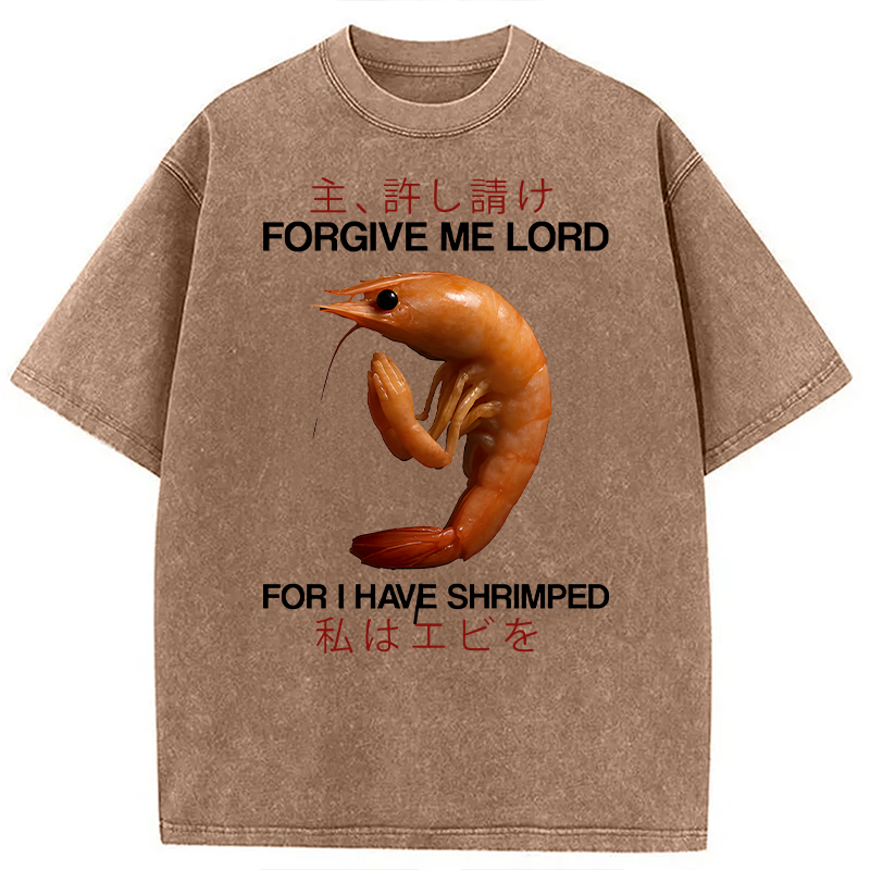Modecanvas Forgive Me Lord For I Have Shrimped DTG Printing Washed T-Shirt-modecanvas
