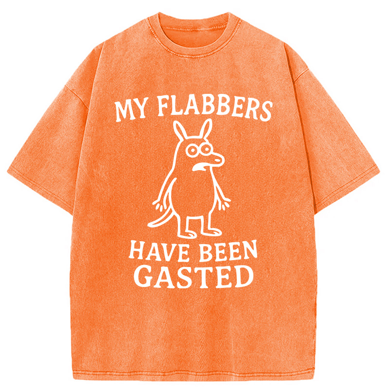Modecanvas My Flabbers Have Been Gasted Funny Meme DTG Printing Washed T-Shirt-modecanvas