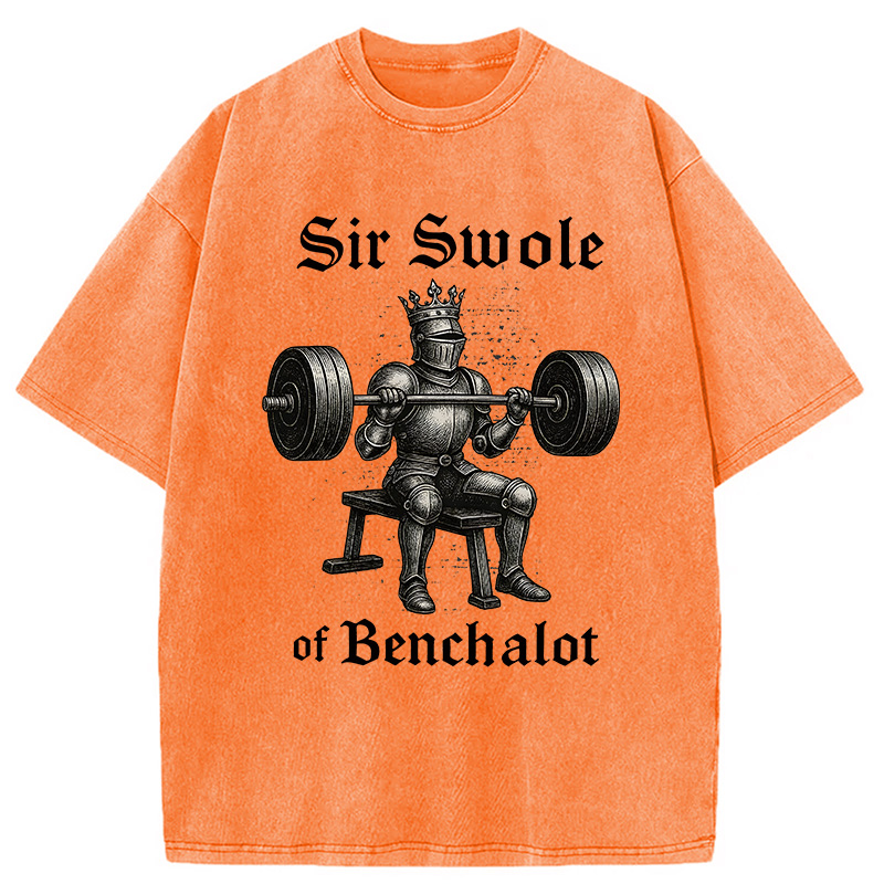 Modecanvas Sir Swole of Benchalot Gym DTG Printing Washed T-Shirt