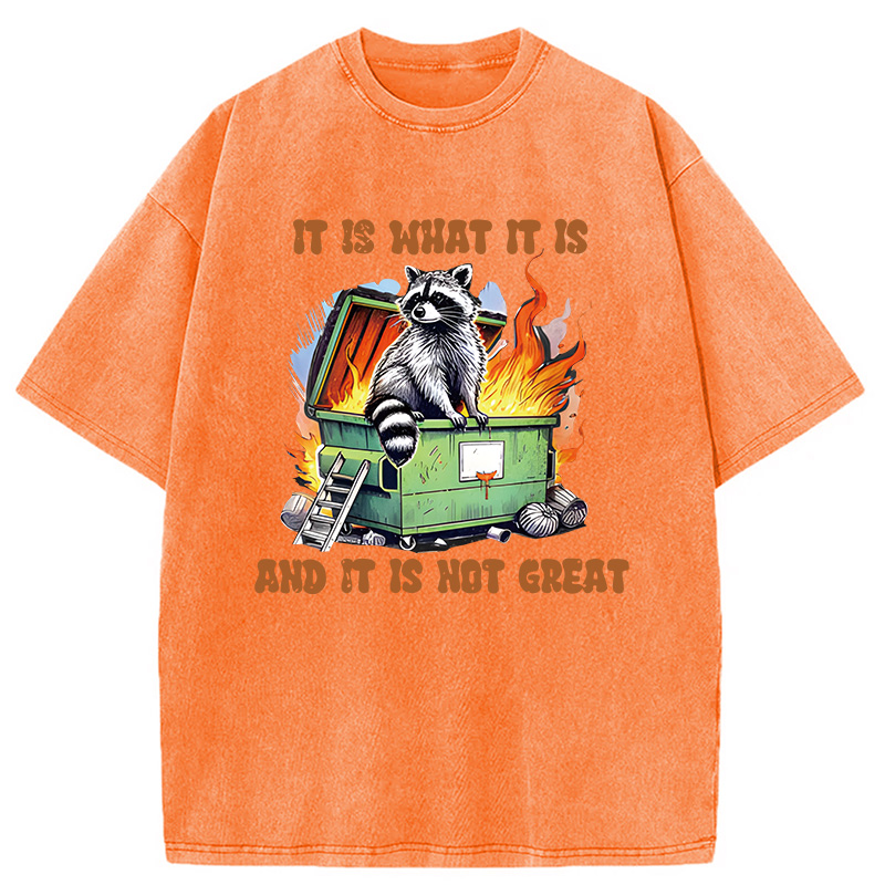 Modecanvas It is What Not Great Raccoon Meme DTG Printing Washed T-Shirt