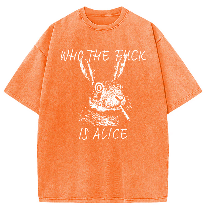 Modecanvas Who The Fck Is Alice Meme DTG Printing Washed T-Shirt