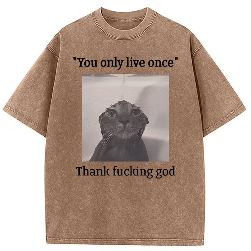 Modecanvas Funny Depressed Meme Cat DTG Printing Washed T-Shirt