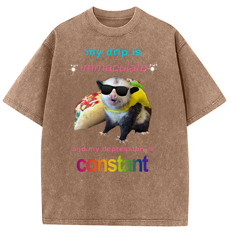 Modecanvas My Drip Is Immaculate DTG Printing Washed T-Shirt