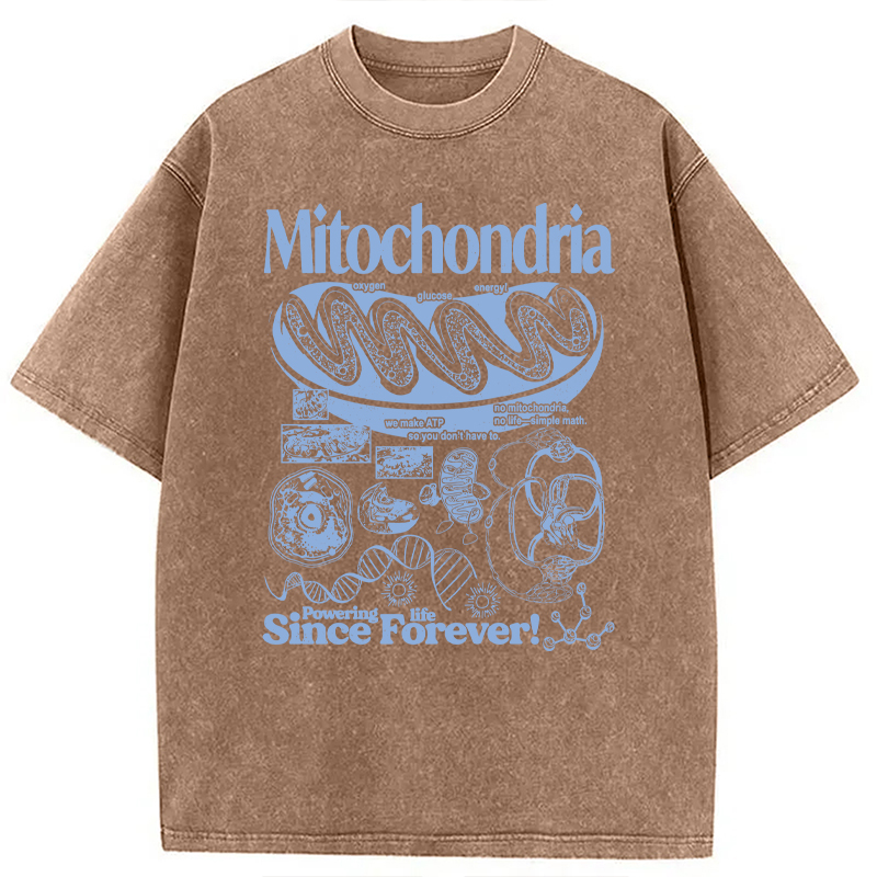 Modecanvas Mitochondria Vintage Science DTG Printing Washed T-Shirt