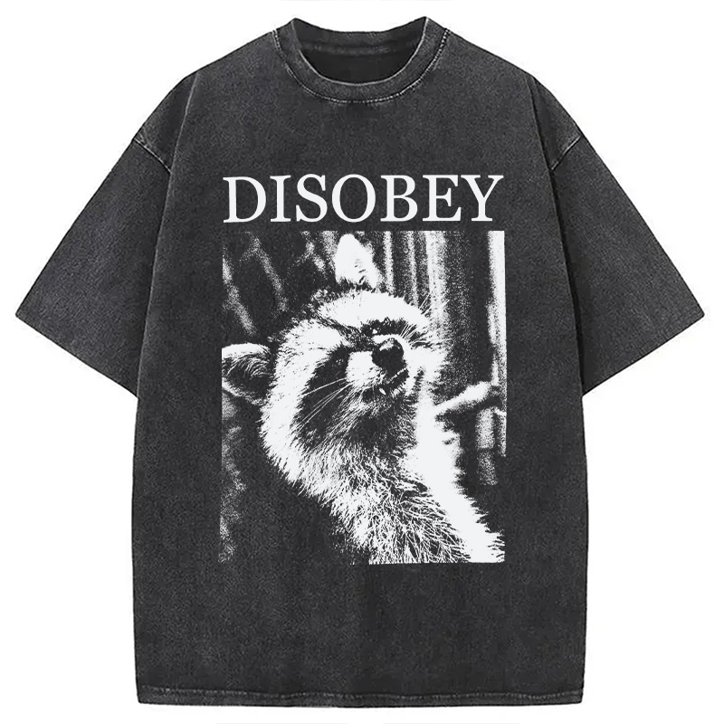Modecanvas Disobey Raccoon DTG Printing Washed T-Shirt