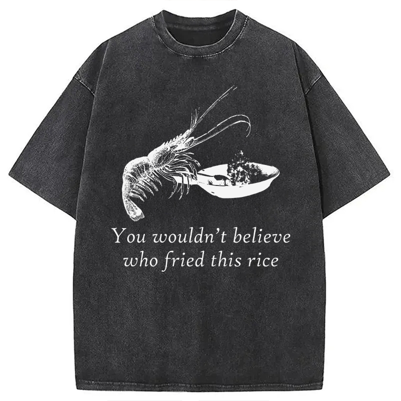 Modecanvas Shrimp Fried Rice DTG Printing Washed T-Shirt