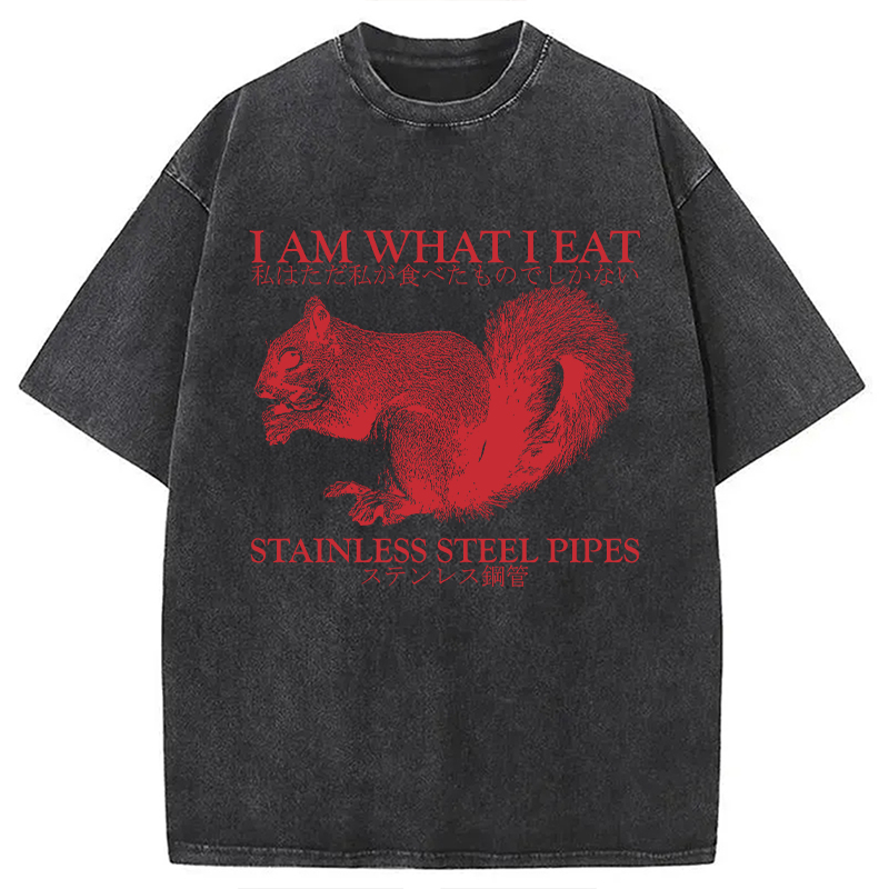 Modecanvas I Am What I Eat DTG Printing Washed T-Shirt