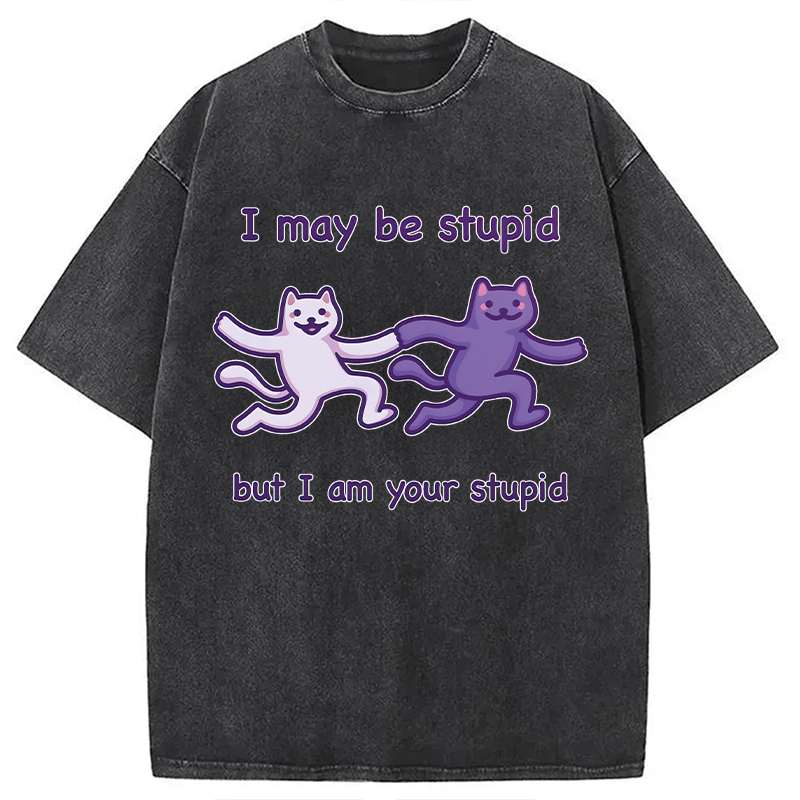 Modecanvas I Am Your Stupid DTG Printing Washed T-Shirt