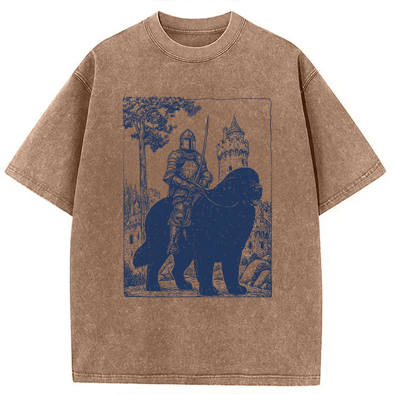 Modecanvas Knight Newfoundland Rider Vintage DTG Printing Washed T-Shirt
