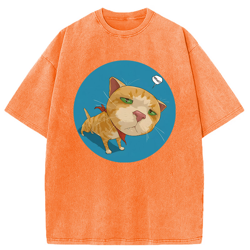 Modecanvas Confusing Cat DTG Printing Washed T-Shirt