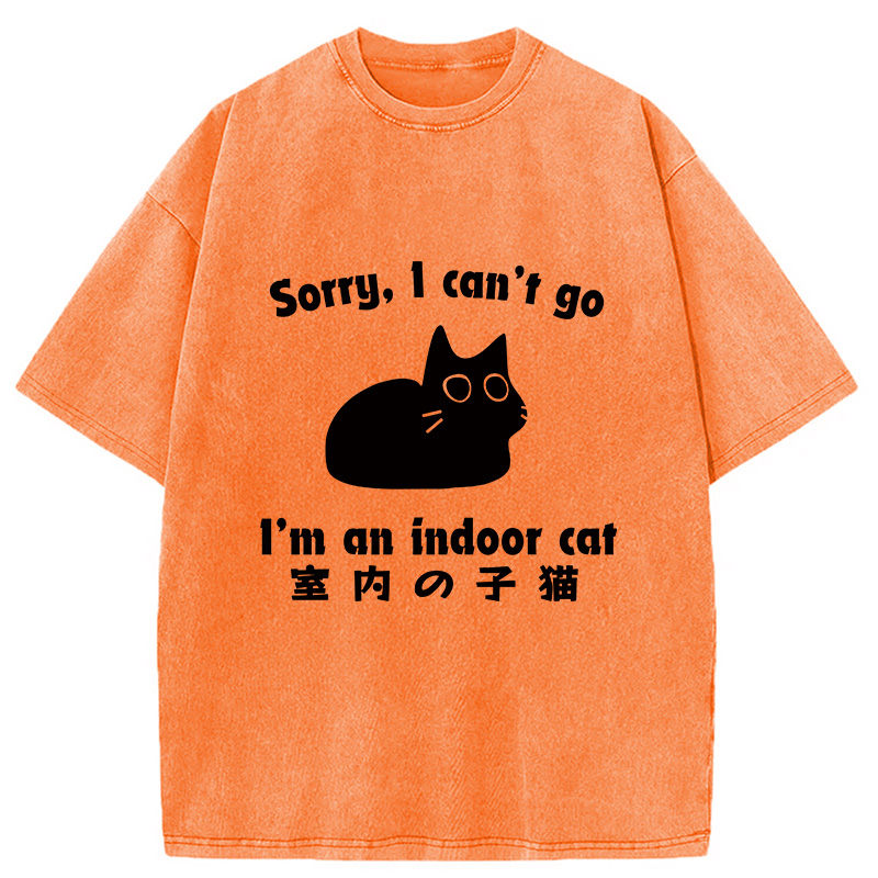 Modecanvas Indoor Kitten Washed T-Shirt-modecanvas