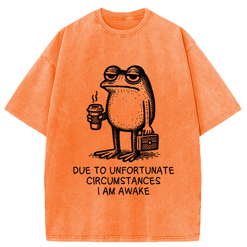 Modecanvas Decadent Frog Washed T-Shirt