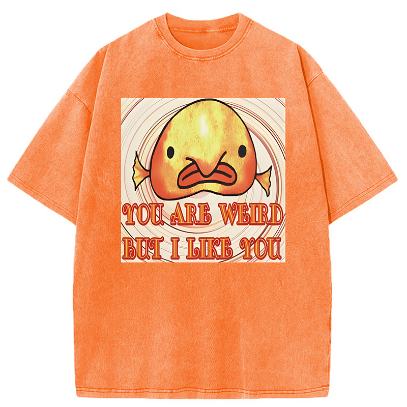 Modecanvas Odly Adorable Fish Meme DTG Printing Washed T-Shirt