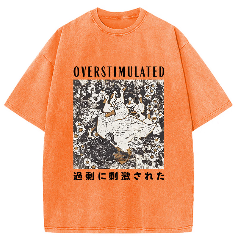Modecanvas Overthinking Duck Washed T-Shirt