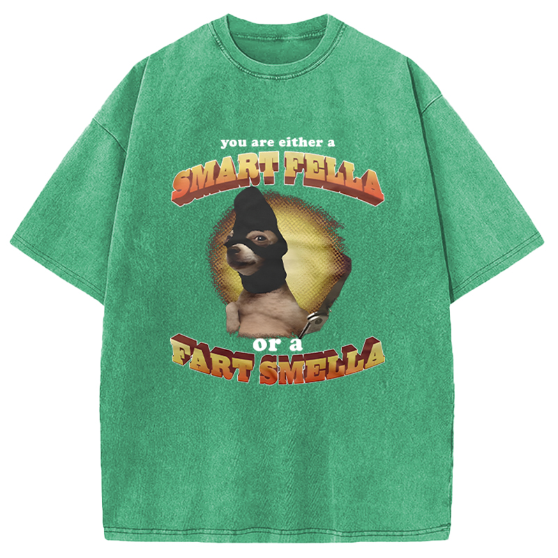 Modecanvas You Are Either A Smart Fella Or A Fart Smella Funny Meme DTG Printing Washed T-Shirt
