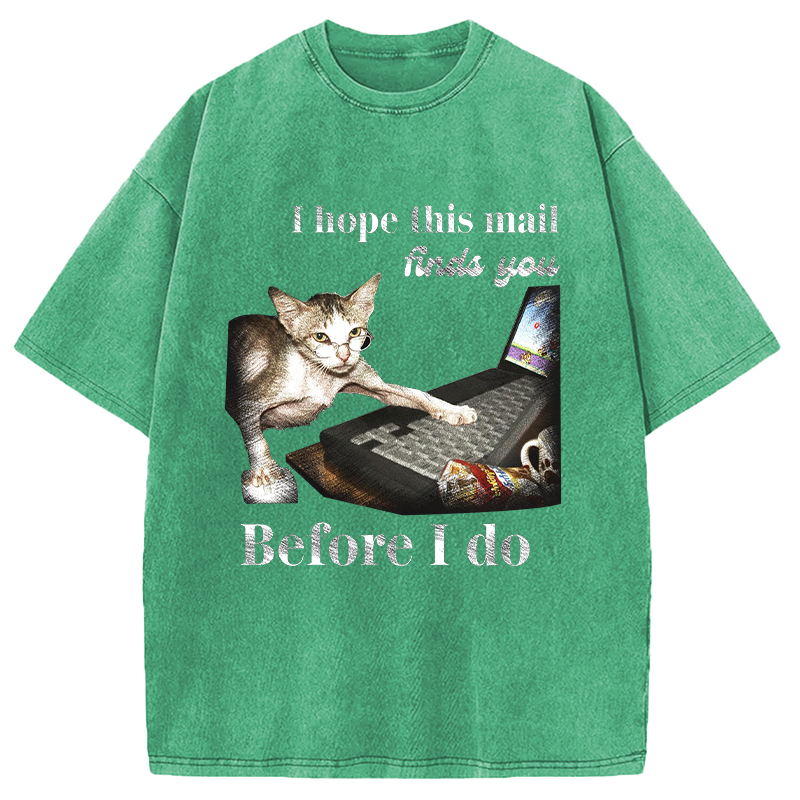Modecanvas Funny Send Mail Cat Meme DTG Printing Washed T-Shirt