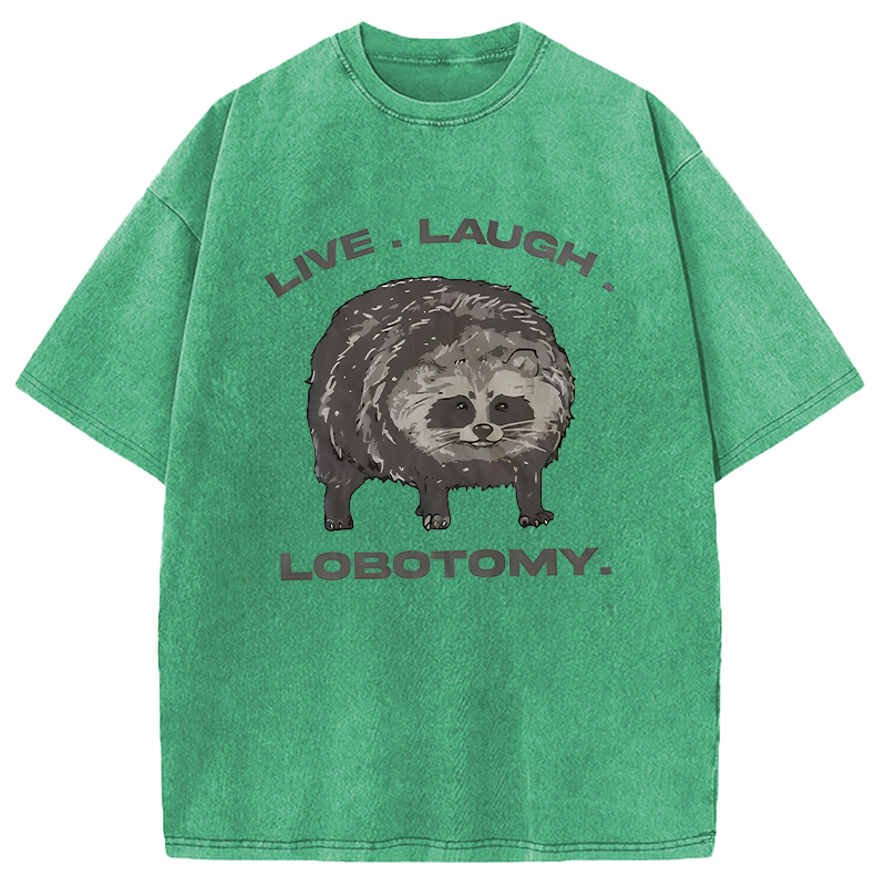 Modecanvas Live Laugh Lobotomy Funny Dolphin Meme DTG Printing Washed T-Shirt